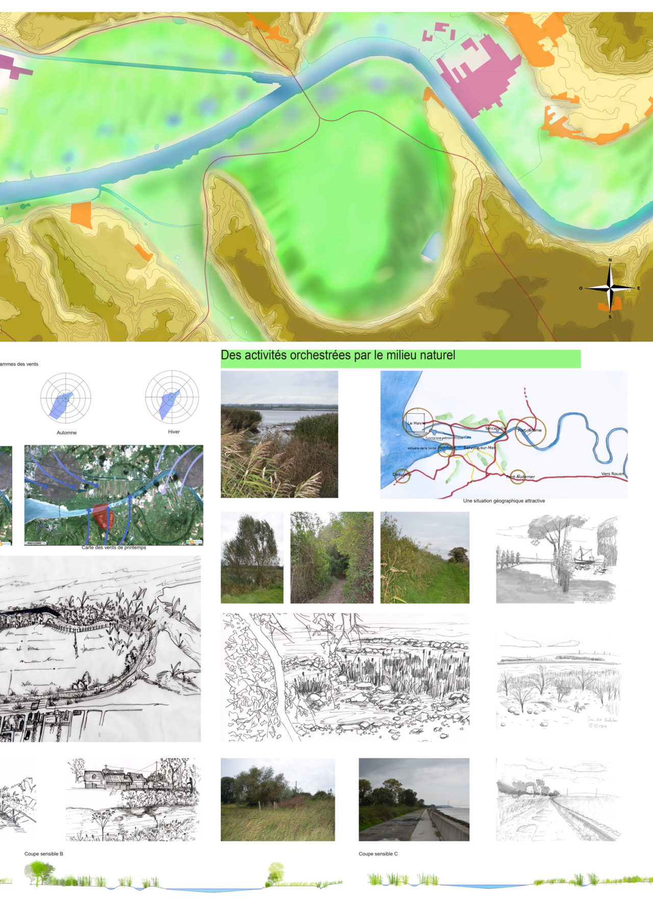 Berville_Florimont_Architecte_2018_Projet-Berville_Analyse-02